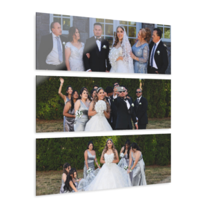 Wedding celebration moment by MZ Photography Portland Oregon