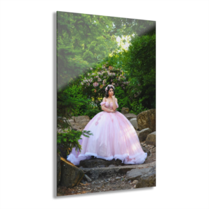 Acrylic wall art - event photography by MZ Photography Portland Oregon