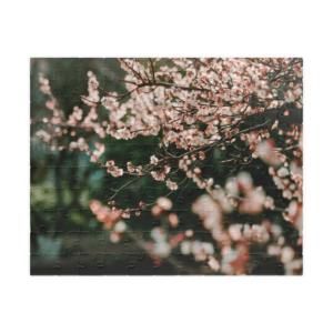 Photo puzzle giveaway by MZ Photography Portland Oregon